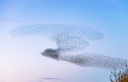 The Heart of What Matters - Making Meaning in a Time of Crisis workshop